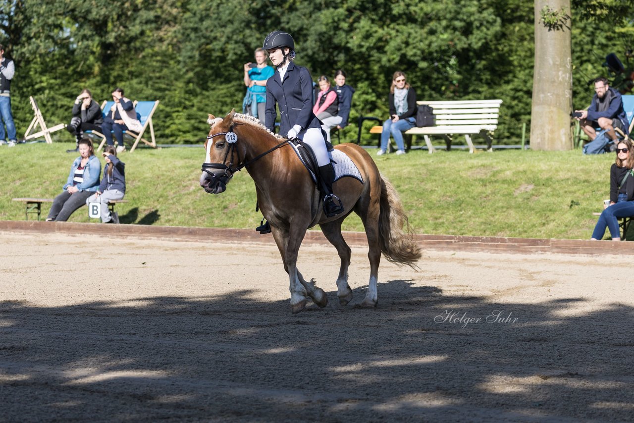 Bild 45 - Pony Akademie Turnier